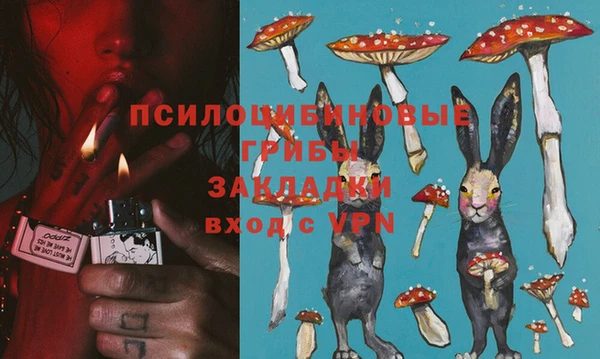 шишки Волосово