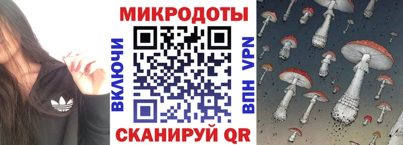закладки  Искитим  Галлюциногенные грибы GOLDEN TEACHER 